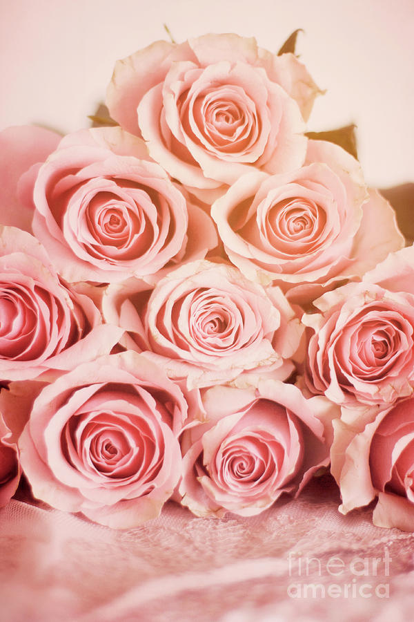 Pink Roses #2 Photograph by Ethiriel Photography