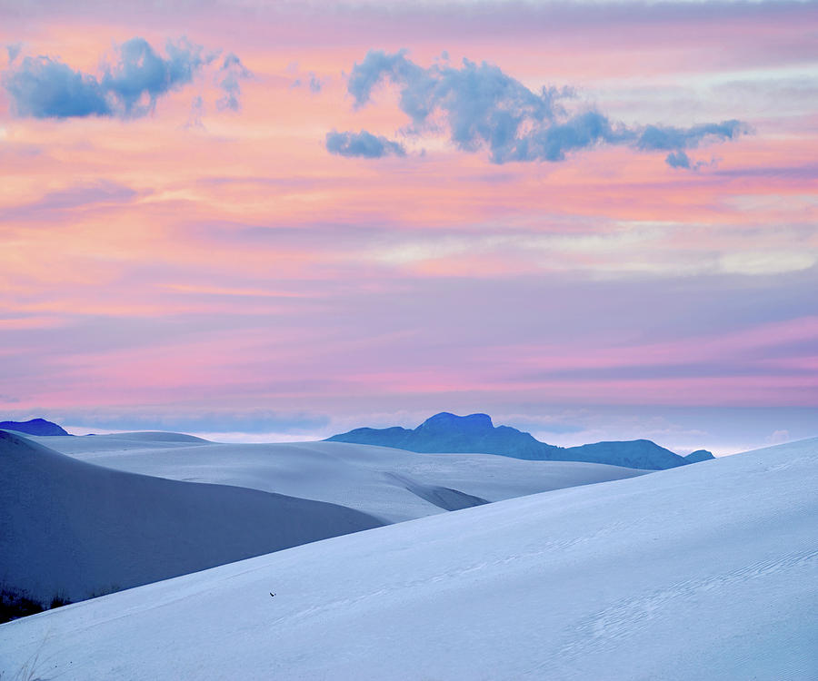 Pink Sunset, White Sands Nm, New Mexico #1 Photograph by Tim Fitzharris