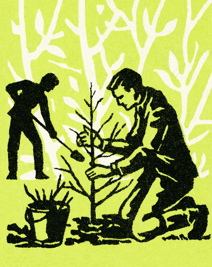Nature Drawing - Planting a tree #1 by CSA Images