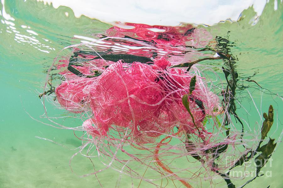 Plastic Fishing Nets Floating In Ocean #1 Photograph by Andy