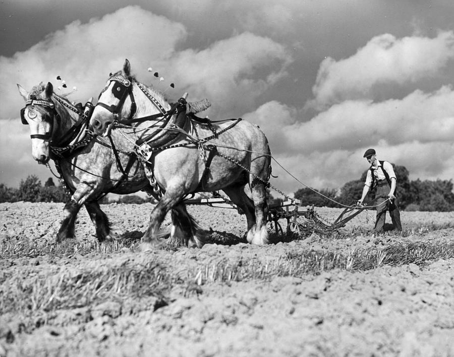 Black And White Photograph - Ploughing Competition #1 by Harry Todd