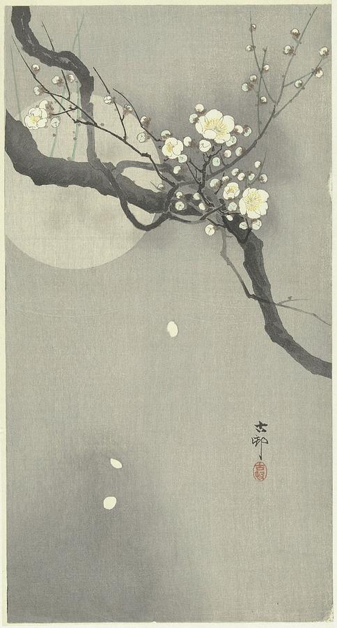 Plum Blossom And Full Moon Painting by Ohara Koson - Fine Art America