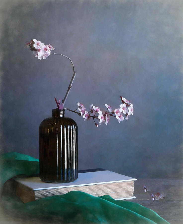 Plum Blossom #1 Photograph by Fangping Zhou