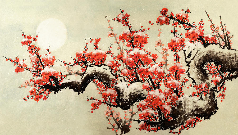 Plum Blossom Digital Art by Vii-photo