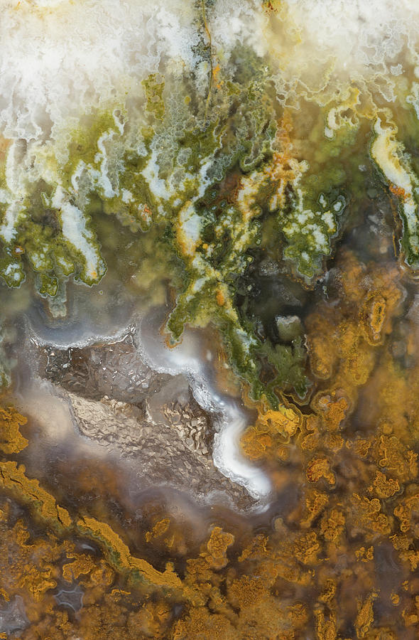 Plume Agate, Close #1 Photograph by Mark Windom