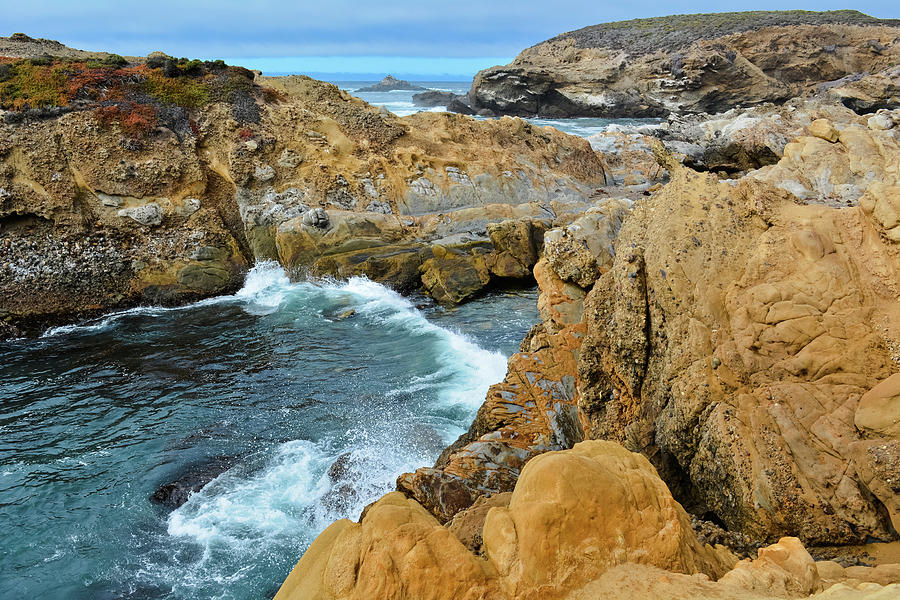 Cove Point Lobos Photograph by Kyle Hanson