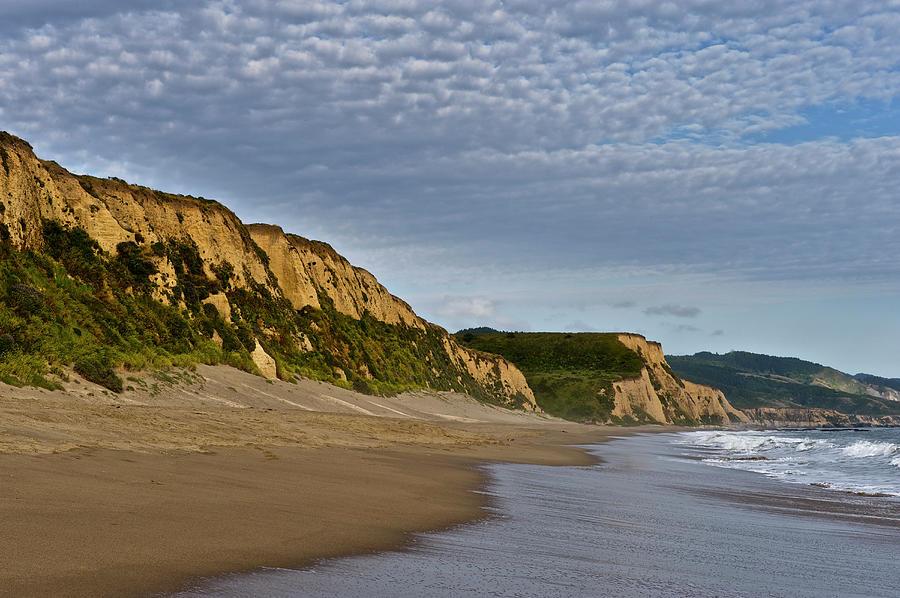Point Reyes National Seashore #1 Photograph by Enrique R. Aguirre Aves
