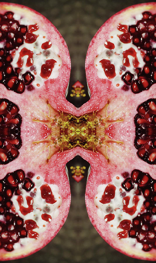 Pomegranate #1 Photograph by Silvia Otte