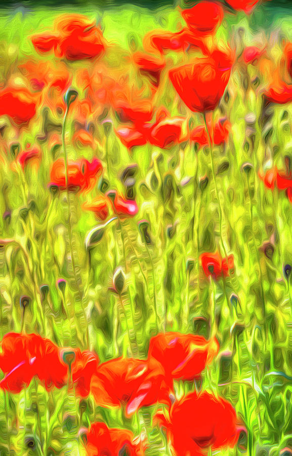 Poppy Meadow Art #2 Photograph by David Pyatt