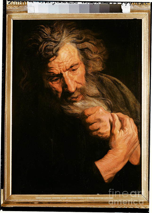Portrait Of A Man Painting by Jacob Jordaens