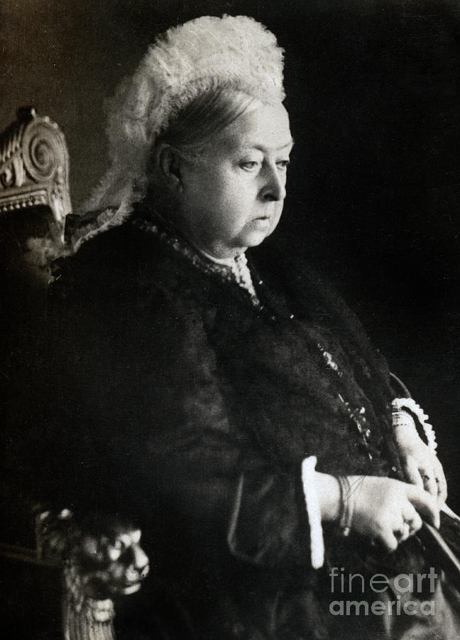Portrait of Queen Victoria  Photograph by English School