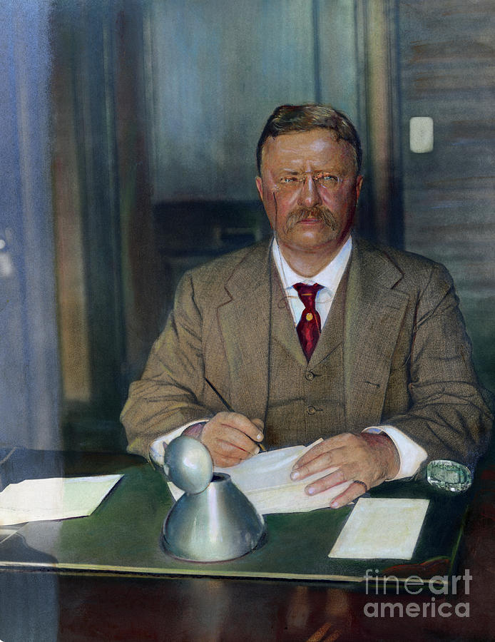 Portrait Of Theodore Roosevelt #1 Photograph by Bettmann