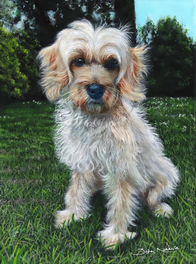 Portrait of Toffee #1 Painting by John Neeve