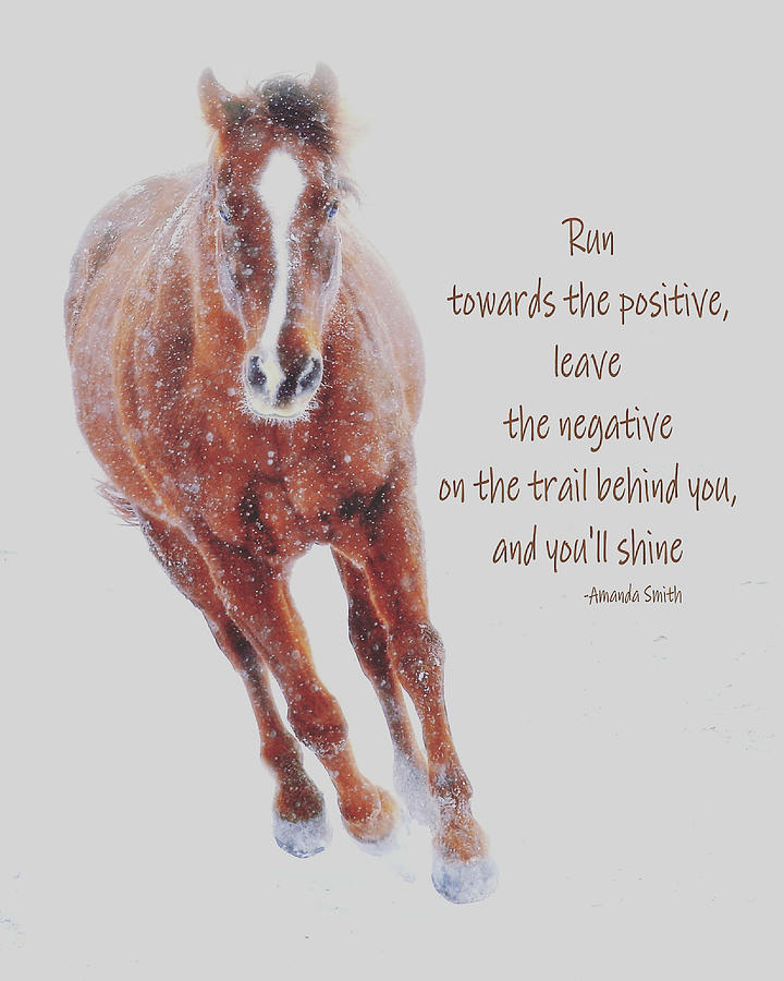 Horse Photograph - Positively Sundancing #1 by Amanda Smith