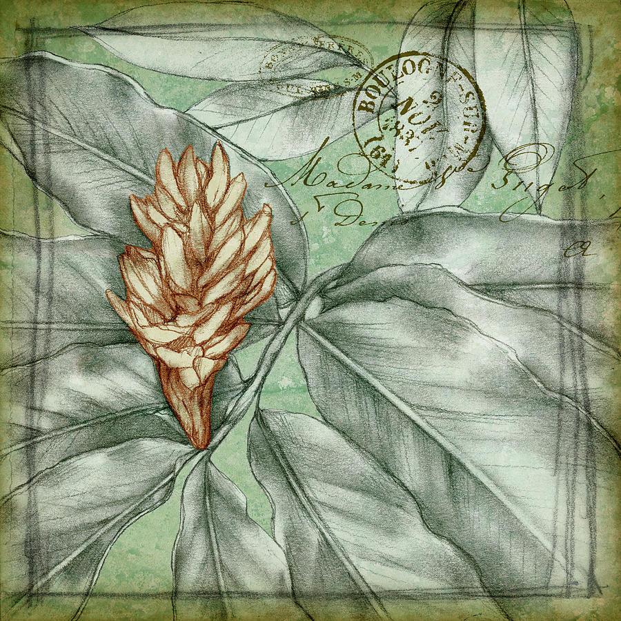 Flower Painting - Postmark Tropicals II #1 by Jennifer Goldberger