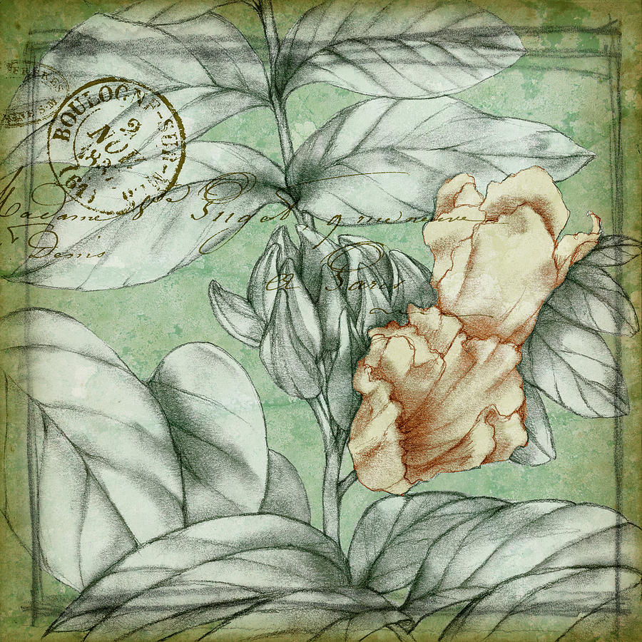 Flower Painting - Postmark Tropicals IIi #1 by Jennifer Goldberger
