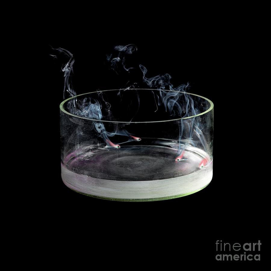 Potassium Reacting With Water #1 Photograph by Science Photo Library