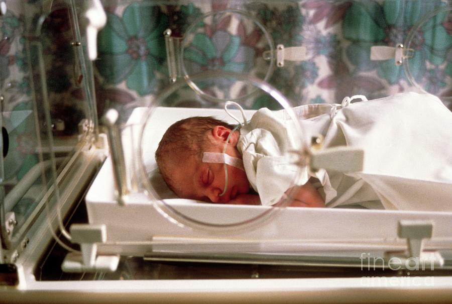 Premature Baby In A Thermostat-controlled Cot #1 by Jim Stevenson/science  Photo Library