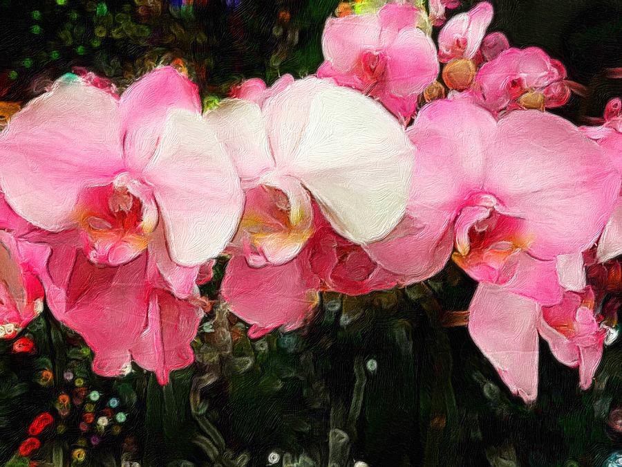 Pretty in Pink #1 Digital Art by Anne Sands