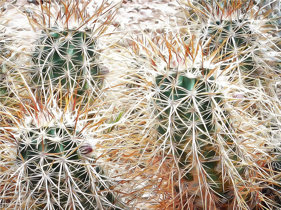 Nature Mixed Media - Prickly Protection #1 by Leslie Montgomery