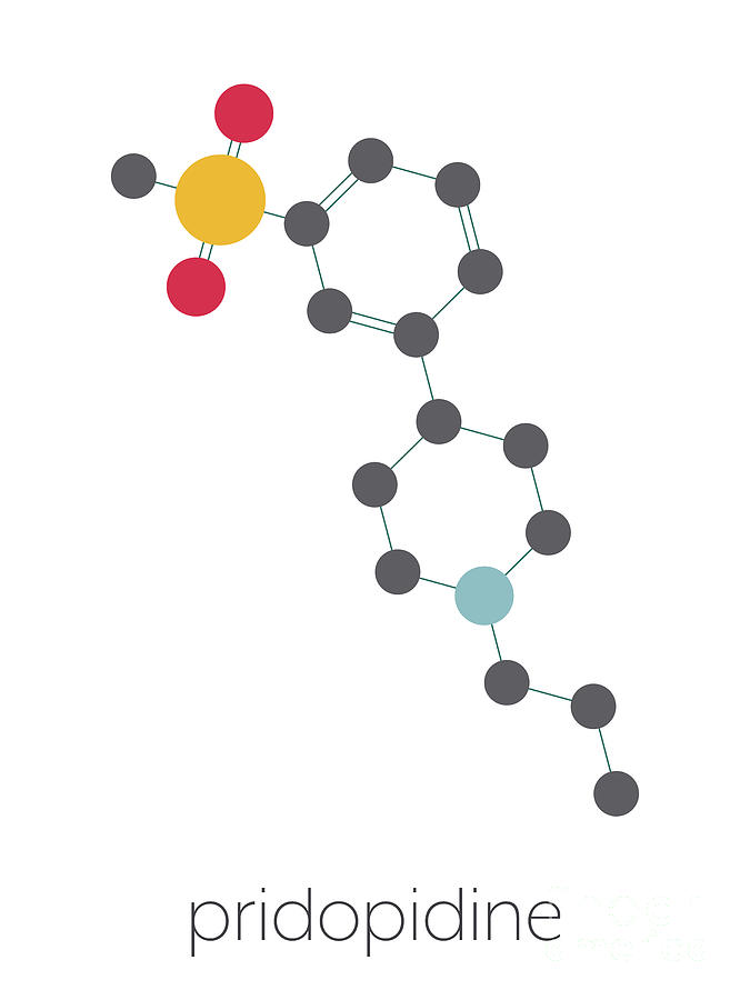 Pridopidine Drug Molecule Photograph by Molekuul/science Photo Library ...