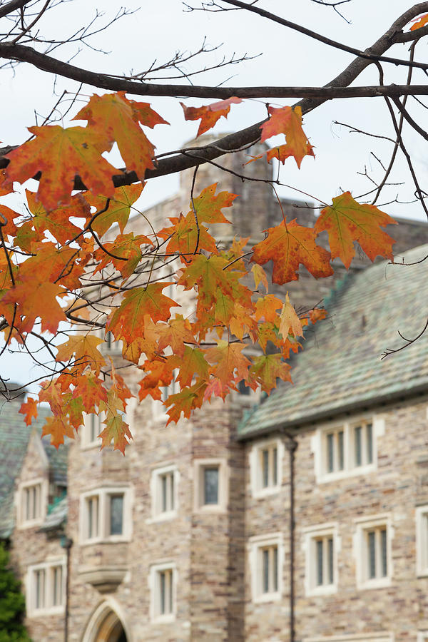 Architecture Photograph - Princeton University in Fall #1 by Erin Cadigan