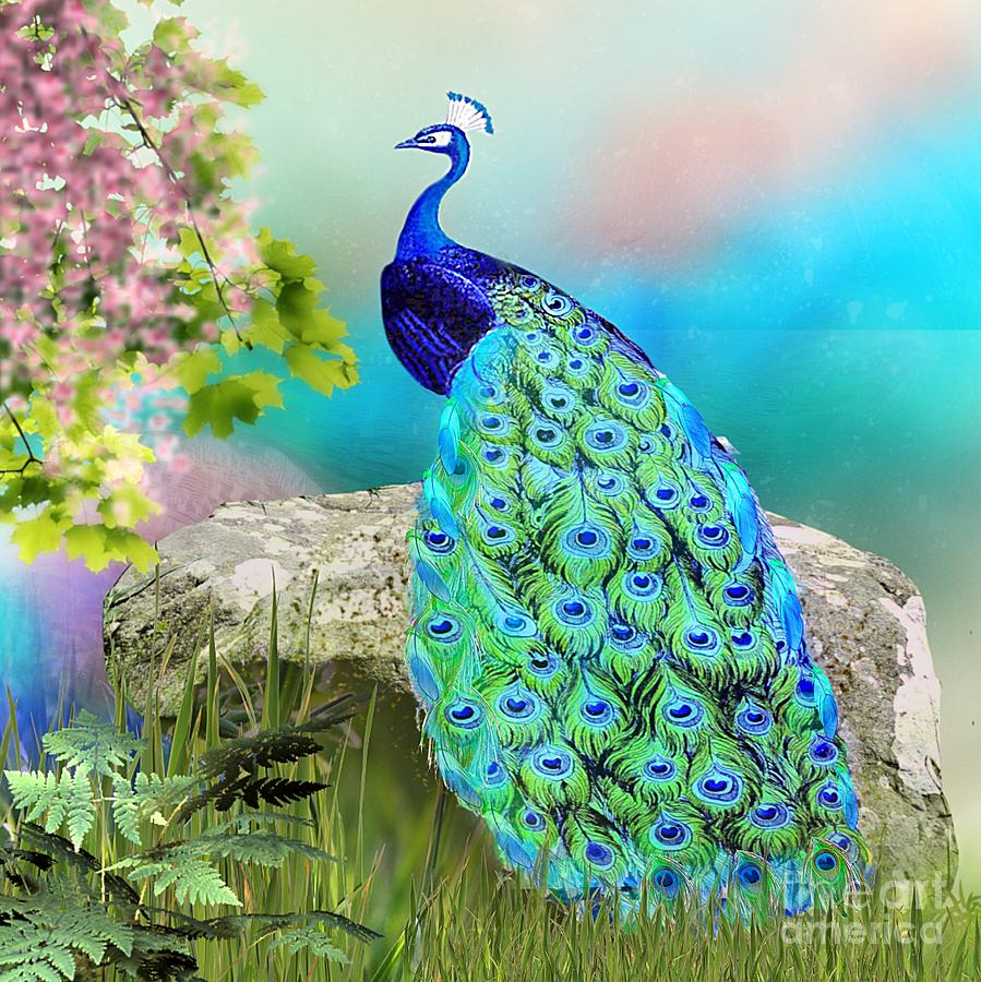 Proud Peacock by Morag Bates Proud Peacock by Morag Bates