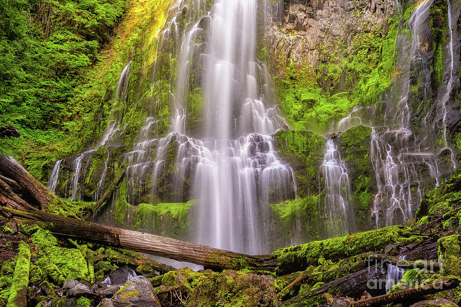 Magic Photograph - Proxy Falls #2 by Roxie Crouch