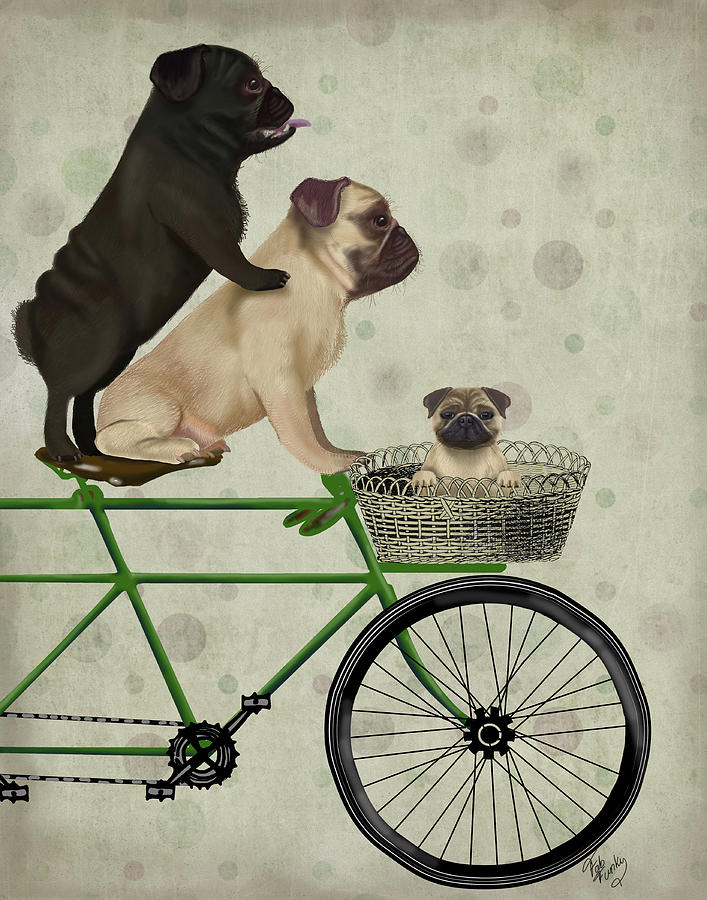 Pugs On Bicycle #1 Painting by Fab Funky