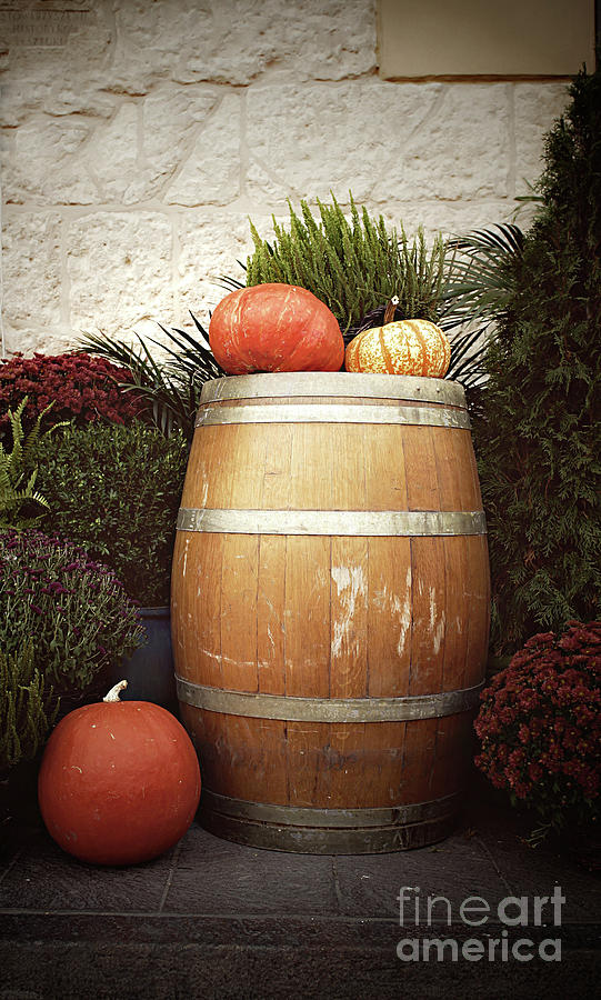 Fall Photograph - Pumpkins still life #1 by Tom Gowanlock