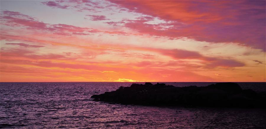 - Purple Sunrise #1 Photograph by THERESA Nye