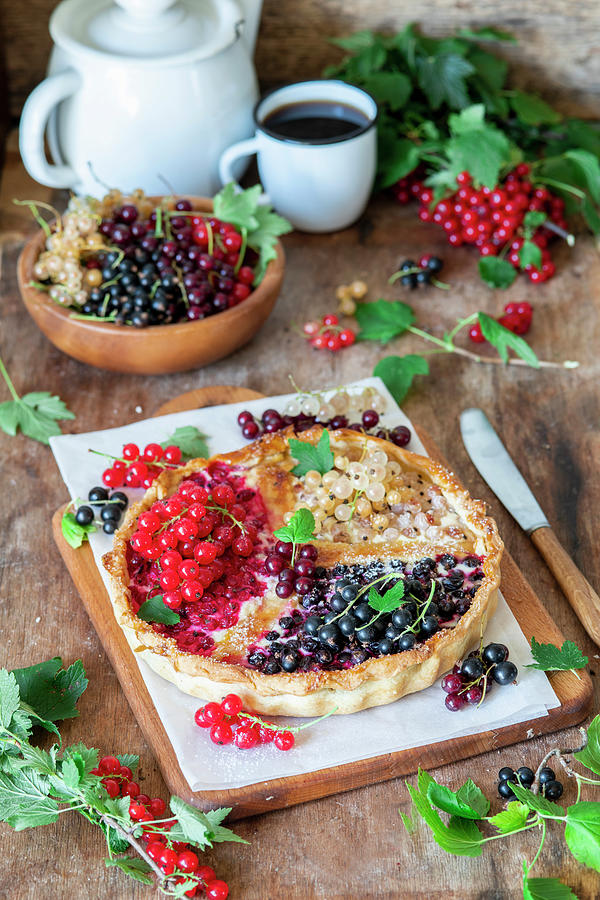 Quark Pie With Different Types Of Currants #1 Photograph by Irina Meliukh