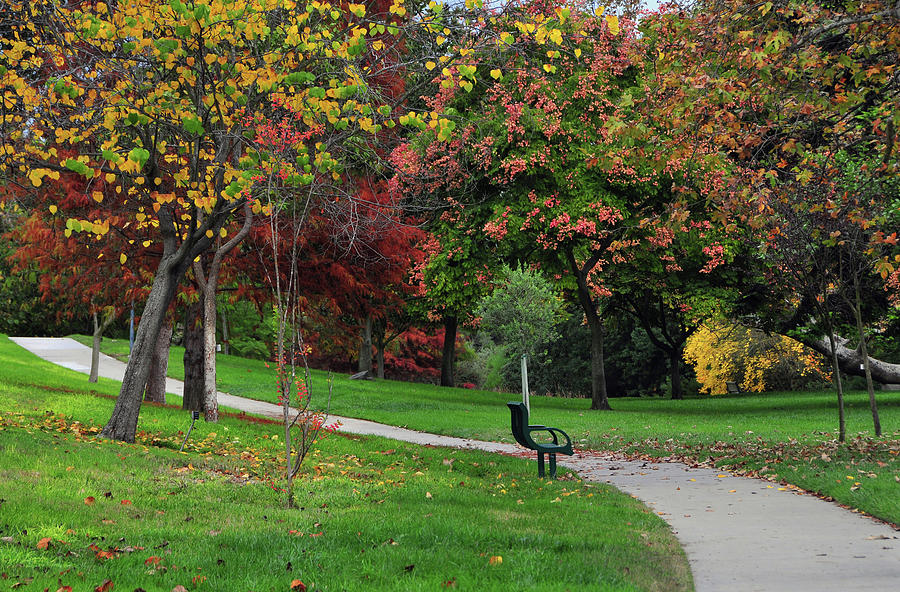 Quiet Park Setting Photograph by Mitch Diamond - Fine Art America