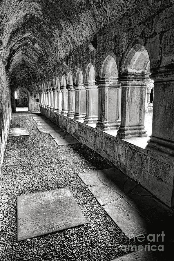 Quin Abbey  Photograph by Olivier Le Queinec