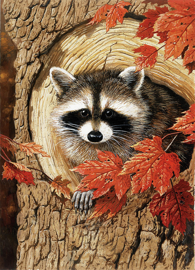 Raccoon Painting - Raccoon #1 by William Vanderdasson