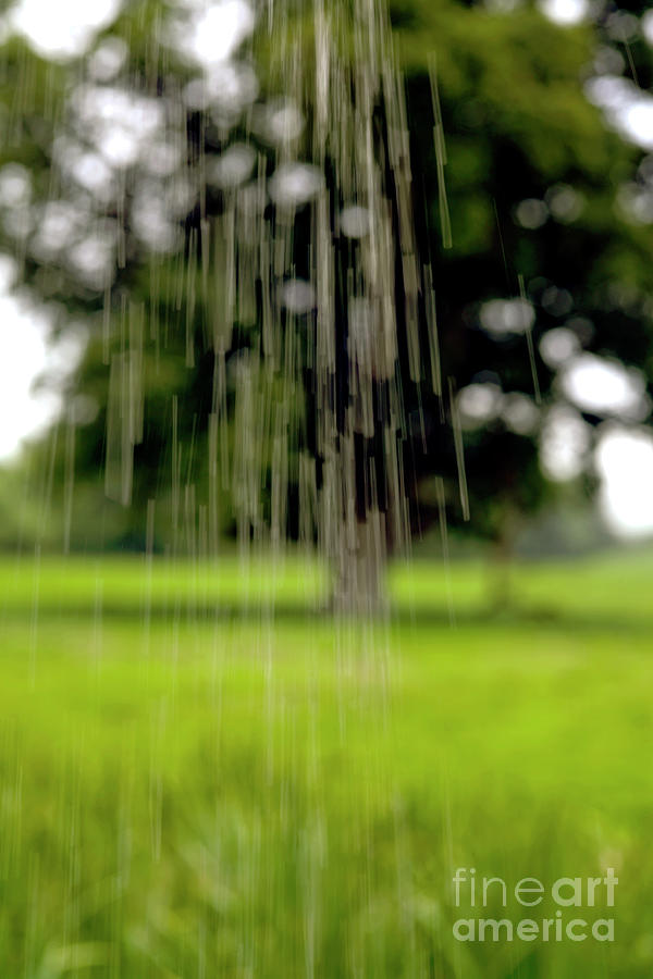 Rain Falling #1 Photograph by Dr Keith Wheeler/science Photo Library