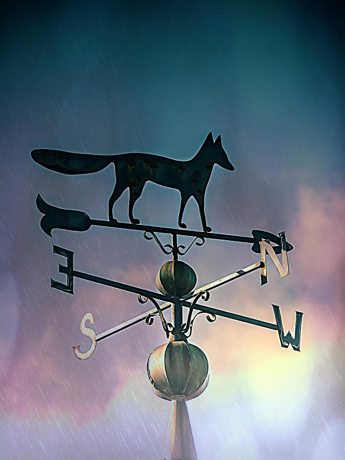 Fox Mixed Media - Rain On The Old Fox Weather Vane #1 by Leslie Montgomery