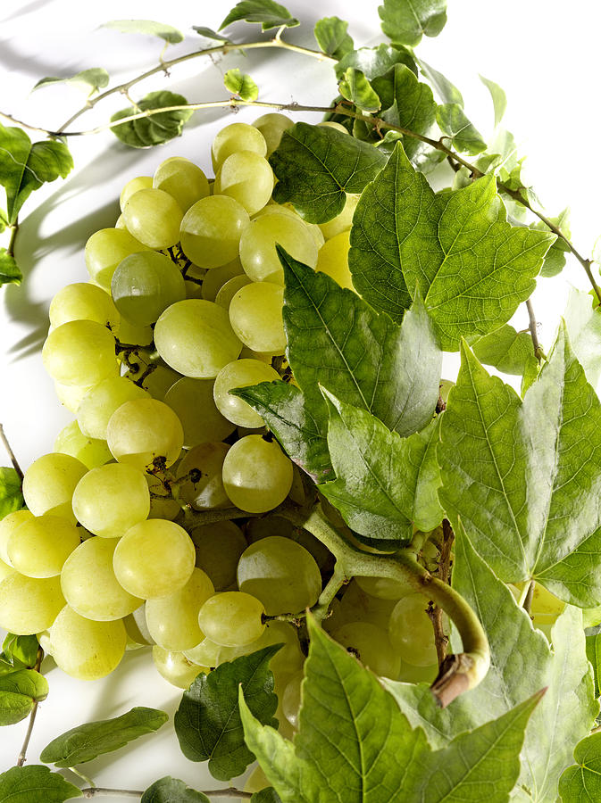 Fruit Photograph - Raisin Blanc White Grapes #1 by Studio - Photocuisine