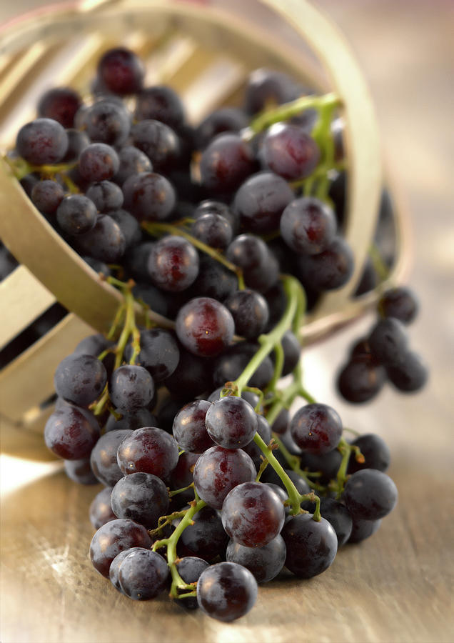 Fruit Photograph - Raisin Noir Black Grapes #1 by Studio - Photocuisine