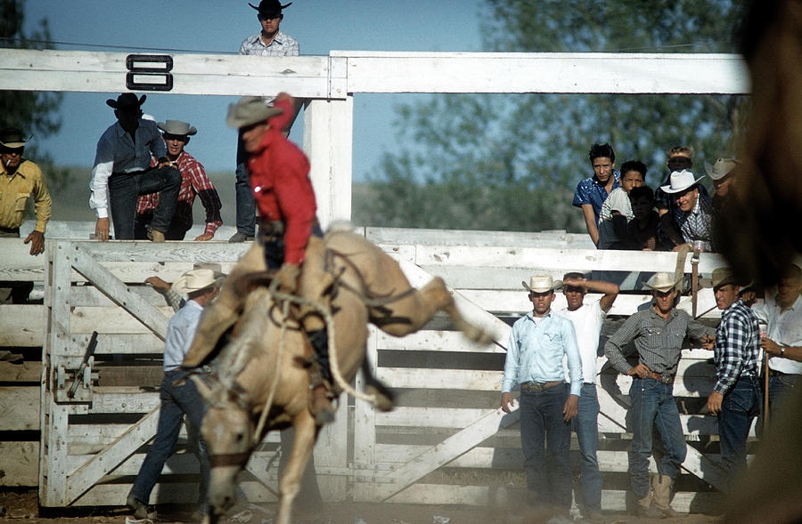 Rapid City Rodeo Photograph by Michael Ochs Archives