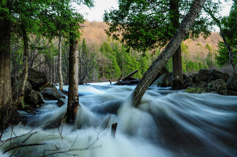 Raquette River Photograph by Bob Grabowski