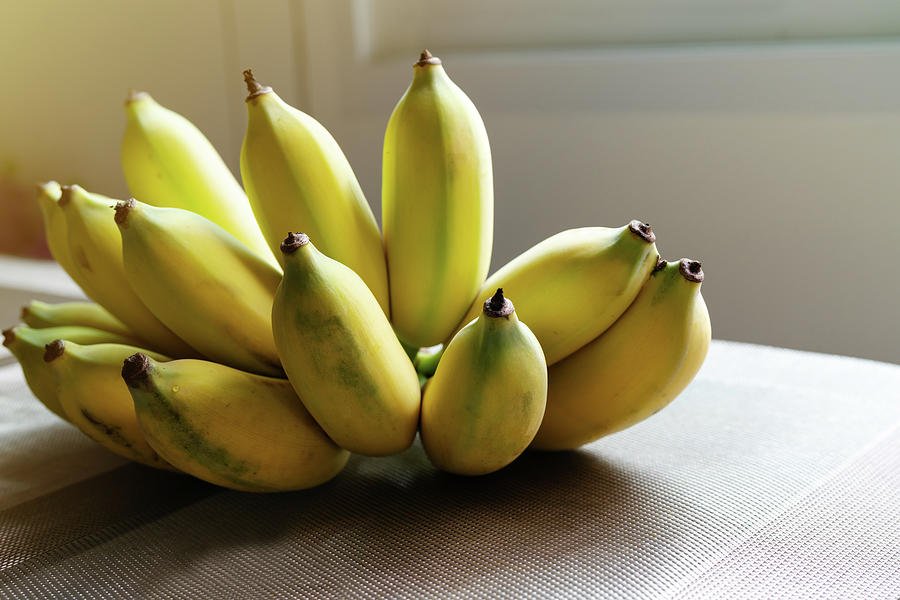 Fresh Bunch of Organic Bananas
