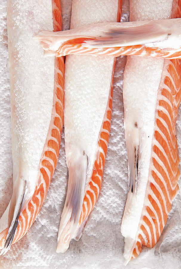 Raw Salmon Filets For Making Fish Stock #1 Photograph by Misha Vetter