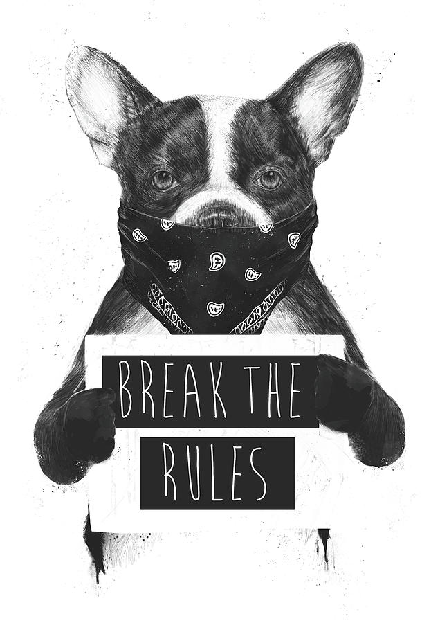 Animal Mixed Media - Rebel dog II #1 by Balazs Solti