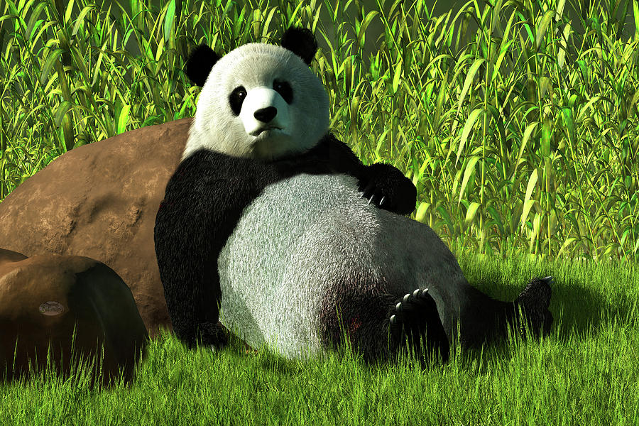 Animal Painting - Reclining Panda #1 by Daniel Eskridge