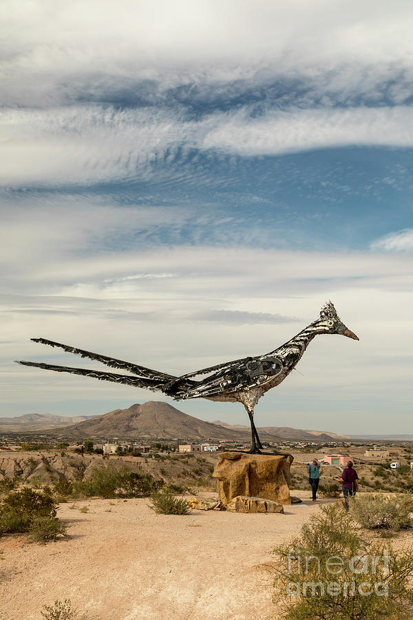 Recycled Roadrunner #1 Photograph by Jim West/science Photo Library