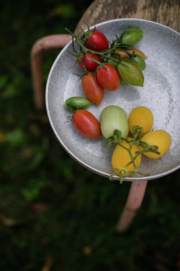 Red And Green Tomatoes In A Ceramic Plate Outdoor, In The Garden #1 Photograph by Giedre Barauskiene