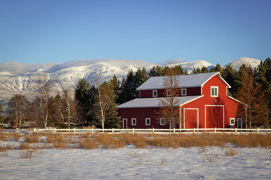 Red Barn #1 Photograph by Jack Bell