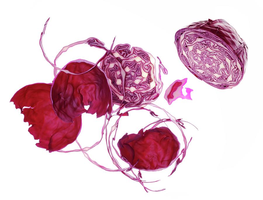 Red Cabbage still Life #1 Photograph by Gross, Petr
