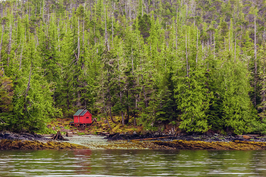 Red Cabin on Edge of Alaskan Waterway in Evergreen Forest #1 Photograph by Darryl Brooks